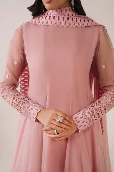 Aiza 3 Piece Stitched Embroidered Ensemble - Image 4