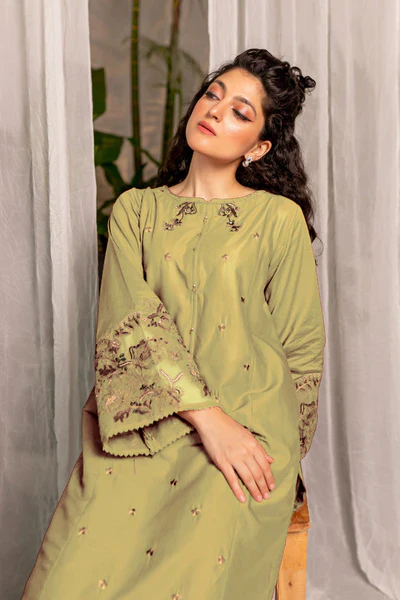Afeefa – 2 Piece Black Elegant Embroidered Suit - Image 9