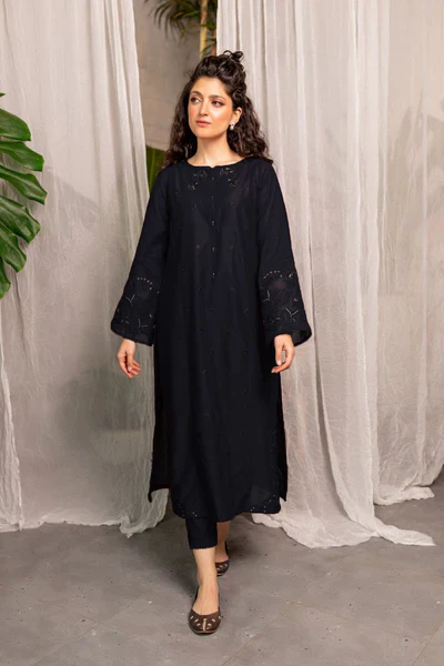 Afeefa – 2 Piece Black Elegant Embroidered Suit - Image 8