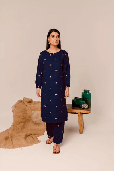 Raina – 2 Piece Stitched Khaddar Ensemble